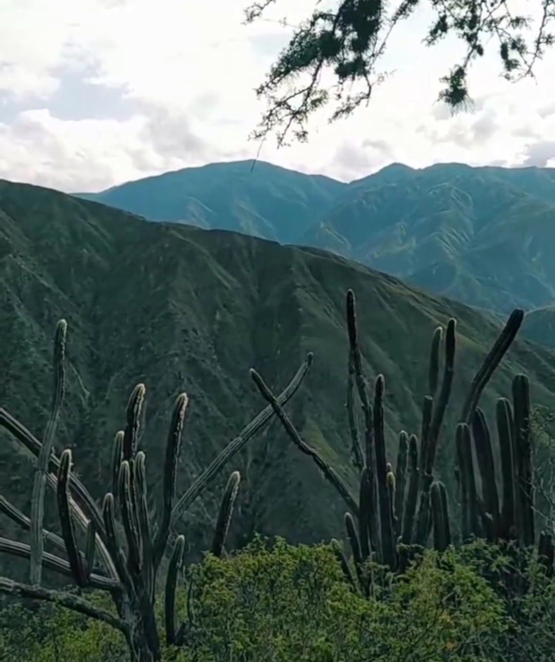 El arte como camino de conciencia - La Paradoja imagen cañon del chicamocha